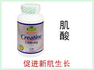 美國ALFA Creatine肌酸營養膠囊 120粒